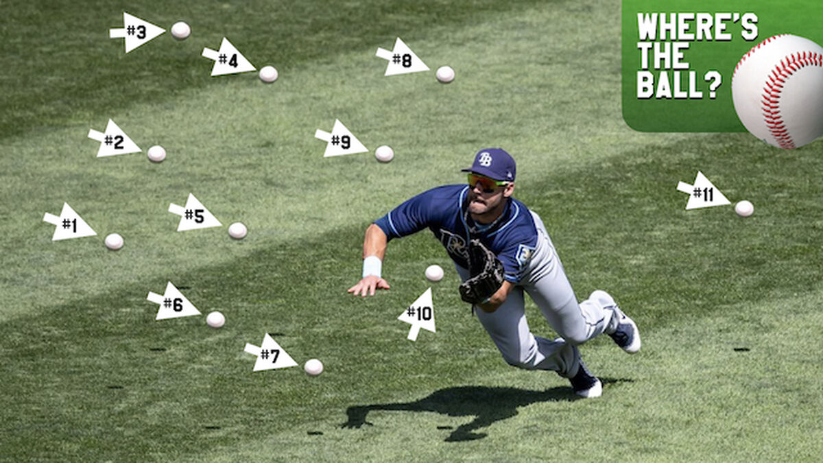 Where's the Ball - Baseball Edition image number 3